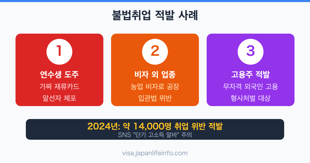 일본 불법취업 적발 사례 모음